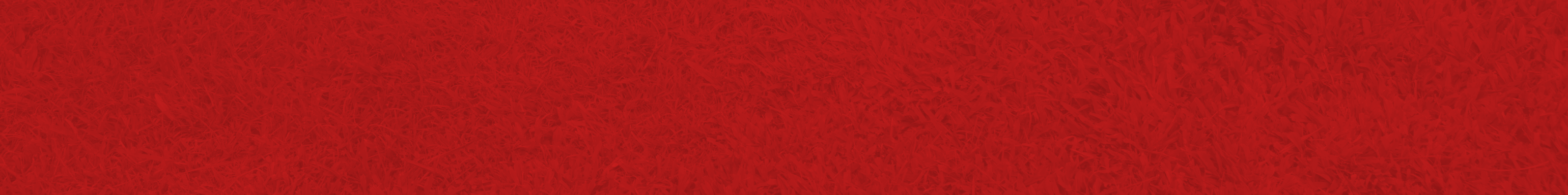 Lawn Builder BG Text In About Page Lawn Builder BG Text In About Page